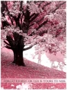 pinky tree