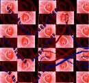 Love Struck 