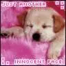 puppy 2