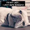 Im not lazy