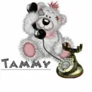 teddy bear on phone with Tammy
