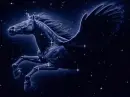 Hors