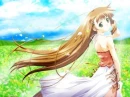 Summer Time