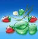 cute kawaii yummy strawberry