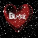 blake red heart with glitter