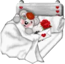 Creddy Teddy