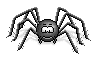 hairy spider lol