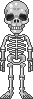 cute kawaii halloween skeleton