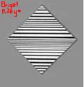 Bridget Riley
