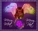 merry meet owl