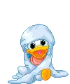 Baby donald duck
