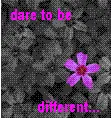 dare to be different