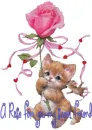 A rose for you my sweet friend.