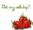 Got any coolwhip???