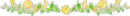 yellow rose