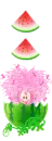 BBoguri