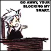 Hitsugaya Toushiro