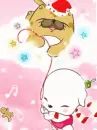 cute puppy