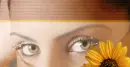 eyes