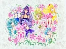 Amara, Amy, Hotaru, Lita, Michelle, Mina, Raye, Rini, Serena & Trisha