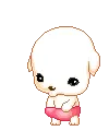 cute kawaii lil puppy
