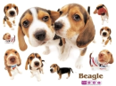 cute kawaii the dog collection