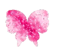 pink butterfly