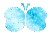 blue butterfly
