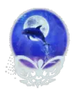 dolphin globe