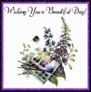 Wishing you a beautiful day