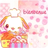 Bienvenue (welcome)