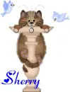 Cute Kitty & Bluebirds