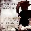 Sasuke 2