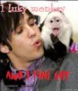 pete and monkey