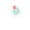 Firework