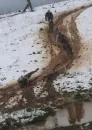 Dirty Mountainbikes(winter)