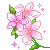pink flowers