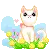 cute kitty