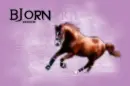 bjorn