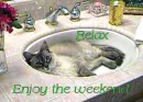 Enjoy the Weekend