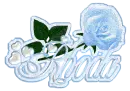LIGHT BLUE ROSE