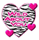 Hearts - Wild about you