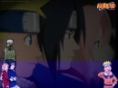 team 7