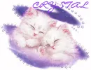 Crystal 2 kittens