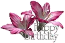 Happy Birthday