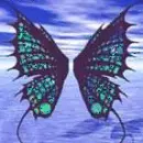 butterfly