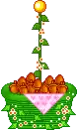 bascket with chocolates