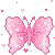 pink butterfly