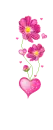 pink flowers