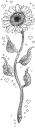 black and white